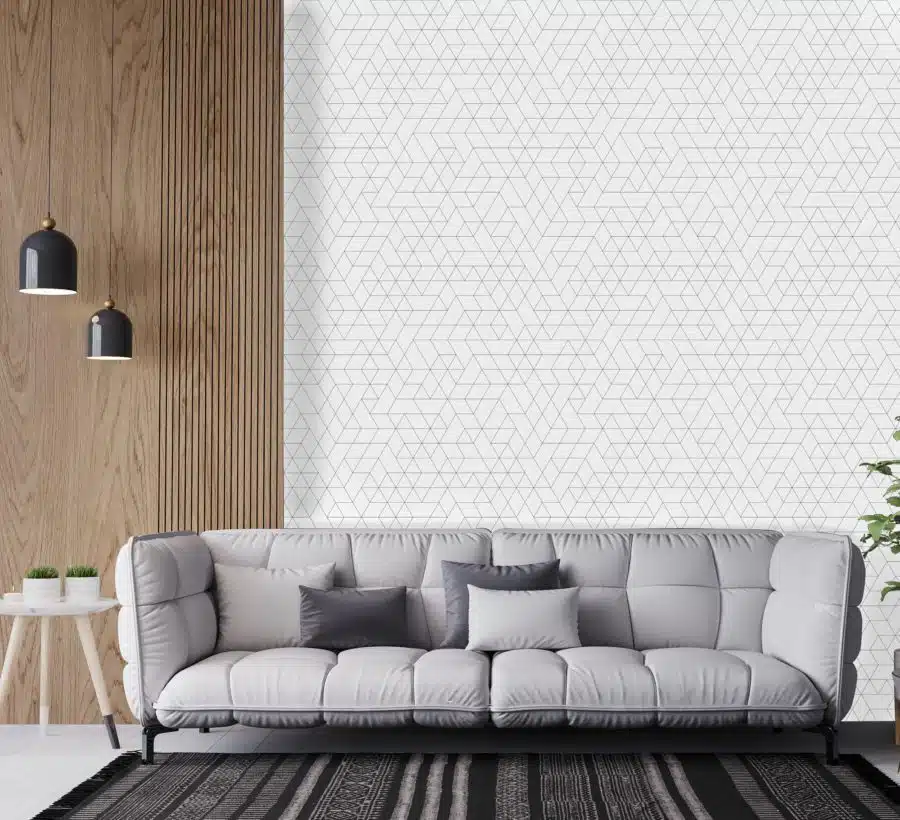 Pythagorus wallpaper and wall murals shop in South Africa. Wallpaper and wall mural online store with a huge range for sale.