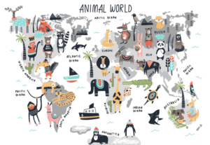 Mural Kids Animal Map - Image 2