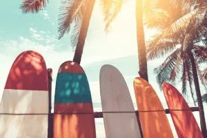 Surfboards and palm tree sunset wallpaper and wall murals shop in South Africa. Wallpaper and wall mural online store with a huge range for sale.