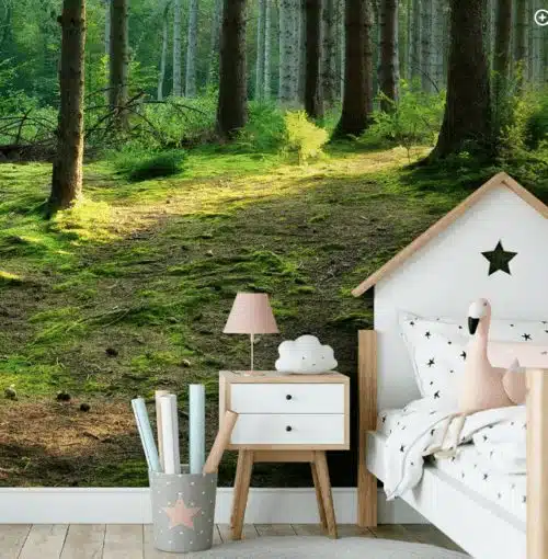 Forest wallpaper and wall murals for sale in South Africa. Wallpaper and wall mural online store with a huge range for sale.