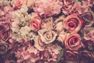 Pink and white roses wallpaper and wall murals shop in California. Wallpaper and wall mural online store with a huge range for sale.