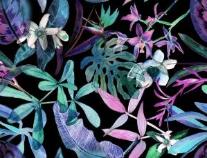 Neon colour plants and flowers on black background wallpaper and wall murals shop in South Africa. Wallpaper and wall mural online store with a huge range for sale.