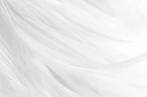 White and light grey colour field style pattern wallpaper and wall murals shop in California. Wallpaper and wall mural online store with a huge range for sale.