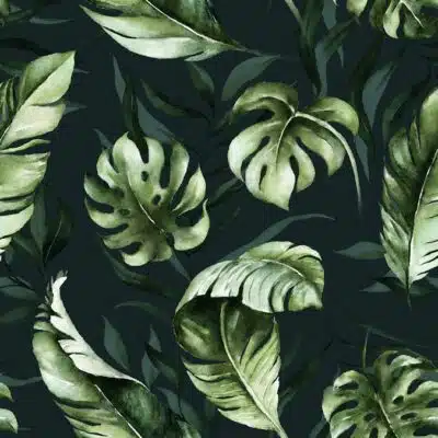 Saturated jungle plats and leaves wallpaper and wall murals shop in South Africa. Wallpaper and wall mural online store with a huge range for sale.