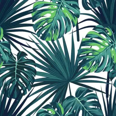 Saturated tropical leaves on white wallpaper and wall murals shop in South Africa. Wallpaper and wall mural online store with a huge range for sale.