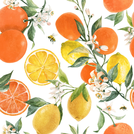 Bright lemons and oranges  wallpaper and wall murals shop in South Africa. Wallpaper and wall mural online store with a huge range for sale.