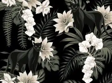 White flowers dark wallpaper and wall murals shop in South Africa. Wallpaper and wall mural online store with a huge range for sale.