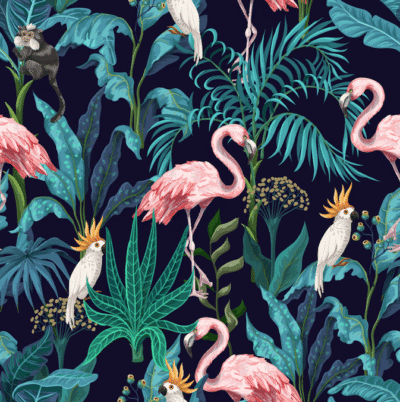 flamingo dark wallpaper and wall murals shop in South Africa. Wallpaper and wall mural online store with a huge range for sale.