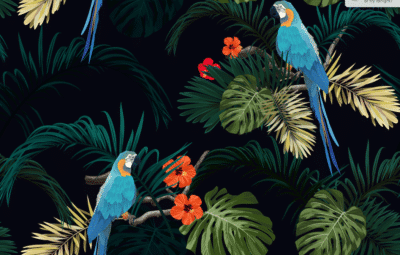 Blue and gold Macaws with tropical plants wallpaper and wall murals shop in South Africa. Wallpaper and wall mural online store with a huge range for sale.