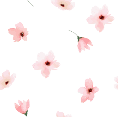 Pink poppy flowers on white wallpaper and wall murals shop in South Africa. Wallpaper and wall mural online store with a huge range for sale.