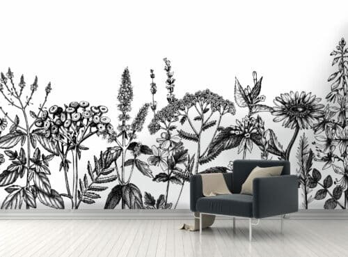 Botanical Line Vector wallpaper and murals for sale in South Africa. Wallpaper and wall mural online store with a huge range for sale.