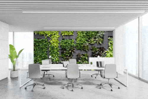 Plant maze wallpaper and wall murals for sale in South Africa. Wallpaper and wall mural online store with a huge range for sale.