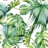 Delicious Palms Wallpaper - Image 2