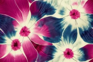 Shibori Petals 591750044 scaled 1 | BANG Wallpaper USA