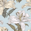 Peel and stick wallpaper of a cottage core style sketched hibiscus in white, cream light blue and green.