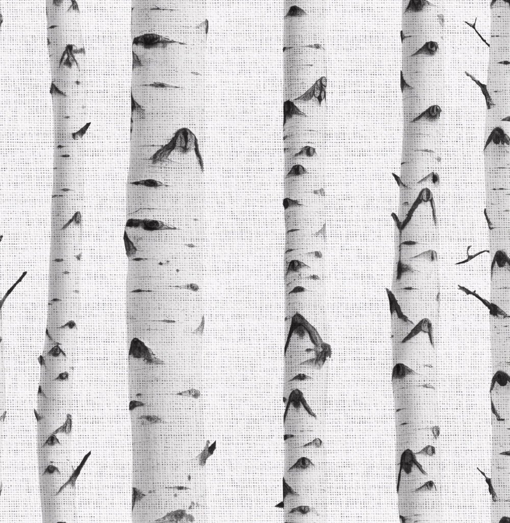 black and white birch wallpaper