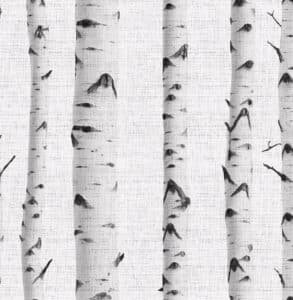 black and white birch wallpaper