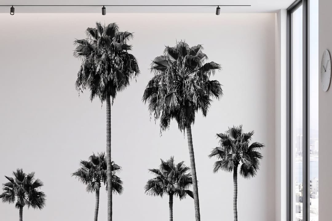 A zoomed-in of black and white palm trees with slender trunks and textured fronds creating a modern tropical mural design.