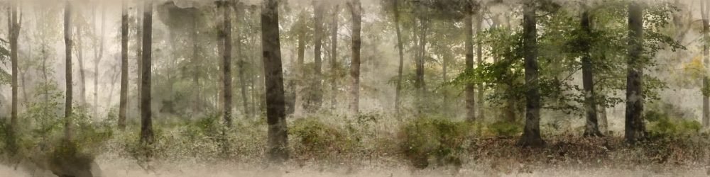 Mural-Ethereal-Forest-WallpaperOnline.jpg